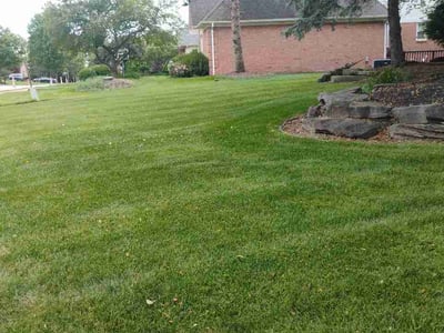 Lawn Care service in Rochester Hills, 48307