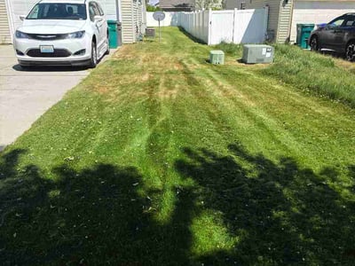 Lawn Care service in Anacortes, 98221