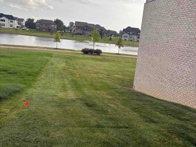 Lawn Care service in Pontiac, 48342