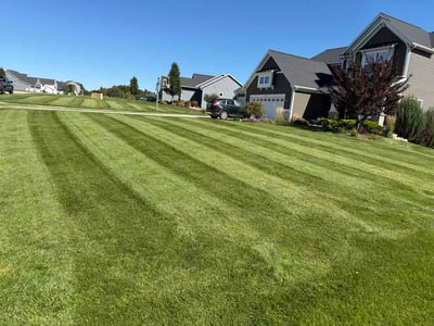 Lawn Care service in Hudsonville, 49426