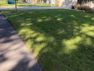 Lawn Care service in Hudsonville, 49426