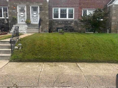 Lawn Care service in Upper Darby, 19082