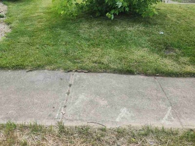 Lawn Care service in Valencia, 16059