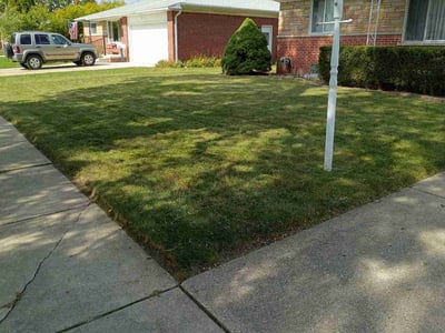 Lawn Care service in Livonia, 48150