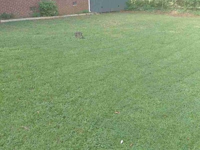 Lawn Care service in Leawood, 64804