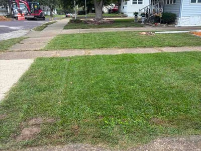 Lawn Care service in Ottawa, 61350
