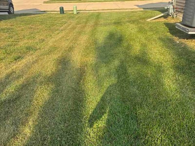 Lawn Care service in Ottawa, 61350