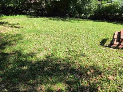 Lawn Care service in Chantilly, 20151