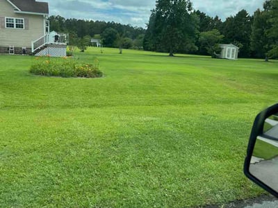 Lawn Care service in New Bern, 28560