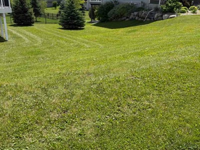 Lawn Care service in North Branch, 55056