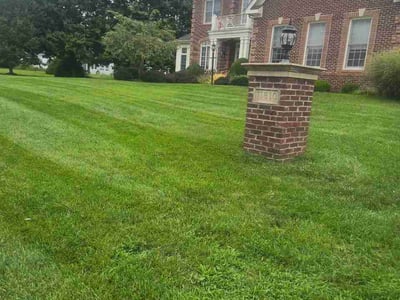 Lawn Care service in Herndon, 20170