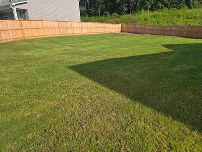 Lawn Care service in Flowery Branch, 30542