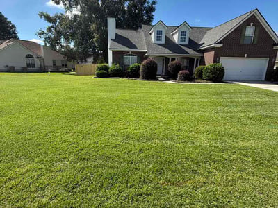 Lawn Care service in Flowery Branch, 30542