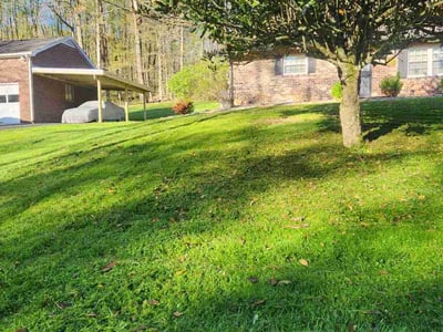 Lawn Care service in Harriman, 37748