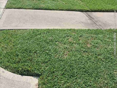 Lawn Care service in Katy, 77493