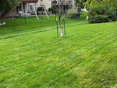 Lawn Care service in Waterloo, 50701