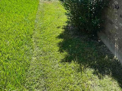 Lawn Care service in La Marque, 77568