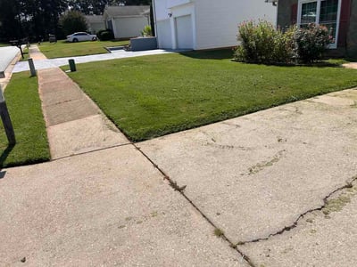 Lawn Care service in Northport, 35476