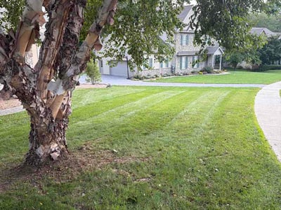 Lawn Care service in Denver, 17517