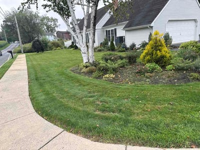 Lawn Care service in Denver, 17517