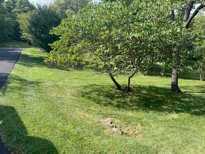 Lawn Care service in Winchester, 22601