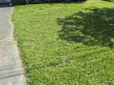 Lawn Care service in Winchester, 22601