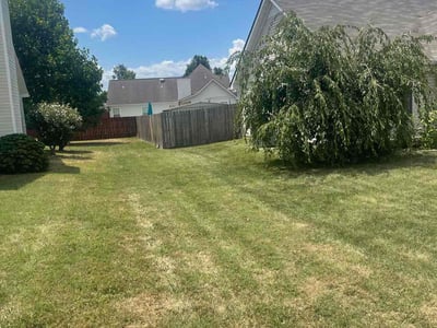 Lawn Care service in Spring Hill, 37174
