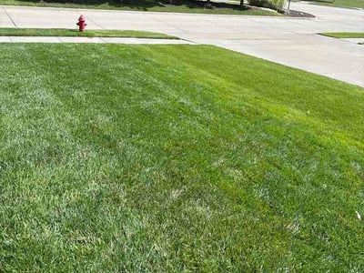 Lawn Care service in Brigham City, 84302