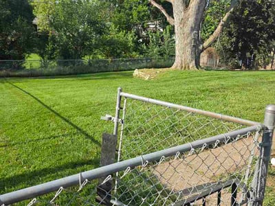 Lawn Care service in Brigham City, 84302