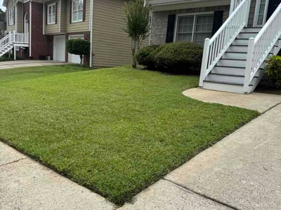 Lawn Care service in Truckee, 96161