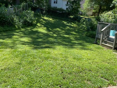 Lawn Care service in London, 40741