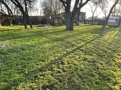 Lawn Care service in Randolph, 02368