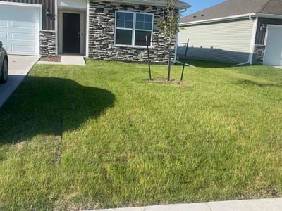 Lawn Care service in South Jordan, 84095