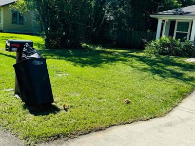 Lawn Care service in Napa, 94559