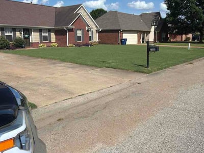 Lawn Care service in Hernando, 38632