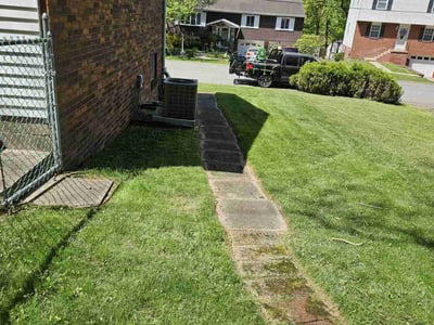 Lawn Care service in Cranberry Twp, 16066