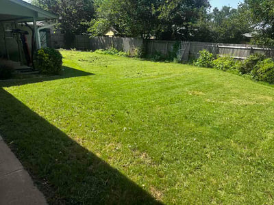 Lawn Care service in Anniston, 36201