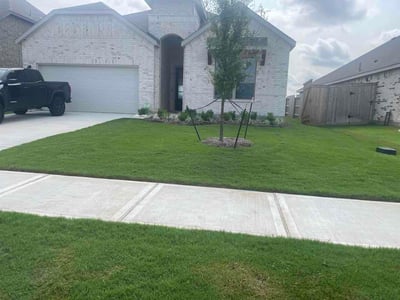 Lawn Care service in Kingwood, 77339