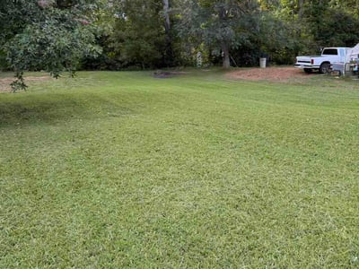 Lawn Care service in Cambridge, 02138
