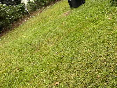 Lawn Care service in Lumberton, 28358
