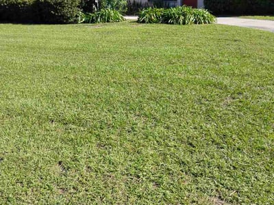 Lawn Care service in Vero Beach, 32960