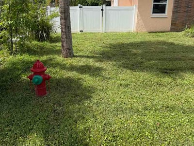 Lawn Care service in Sebastian, 32958