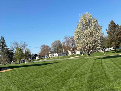 Lawn Care service in Comstock Park, 49321