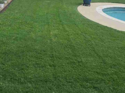 Lawn Care service in Keller, 76248