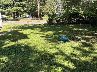 Lawn Care service in Bloomington, 61701