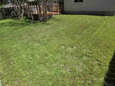 Lawn Care service in Oceanside, 92054