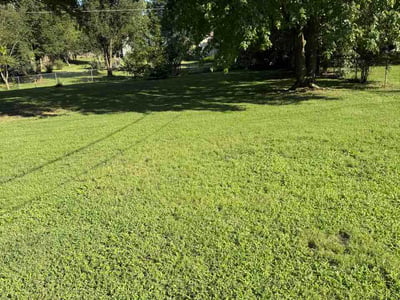 Lawn Care service in Kernersville, 27284