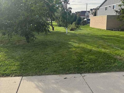 Lawn Care service in Sun Prairie, 53590
