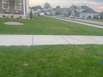 Lawn Care service in Sun Prairie, 53590