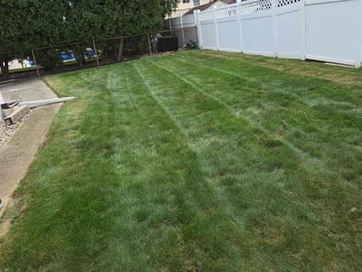 Lawn Care service in Trenton, 08608